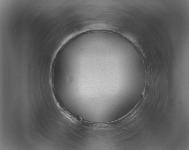 X0000060231342200511241256