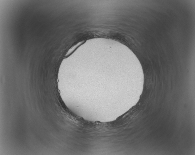 X0000060231345200511241255