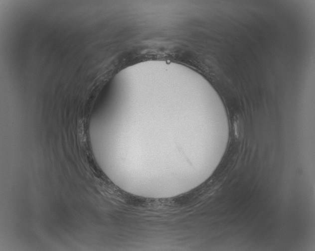 X0000060231347200511241255