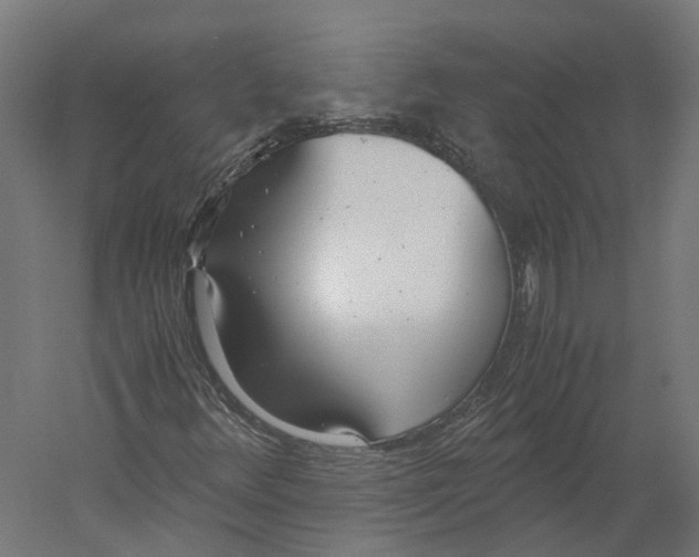 X0000060231348200511241255