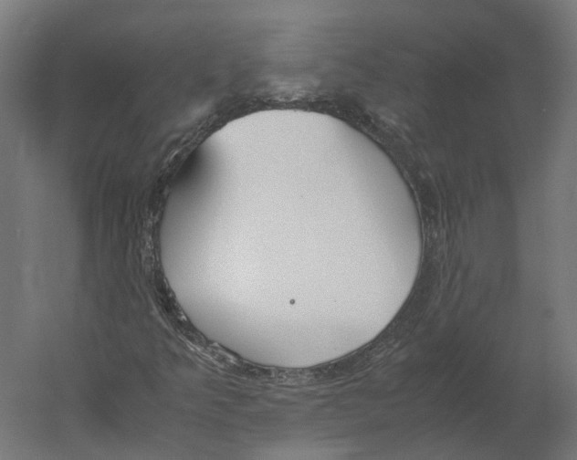 X0000060231349200511241255