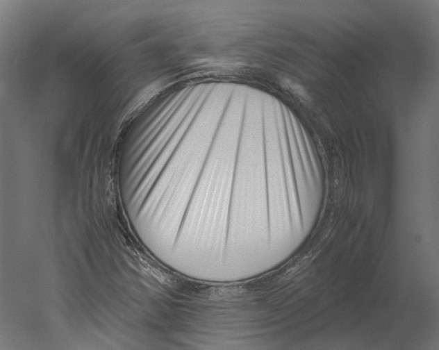 X0000060231354200511241255