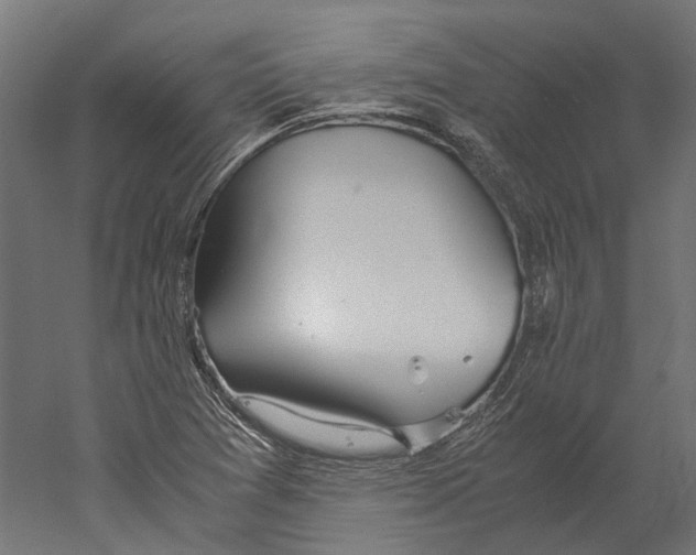 X0000060231361200511241255