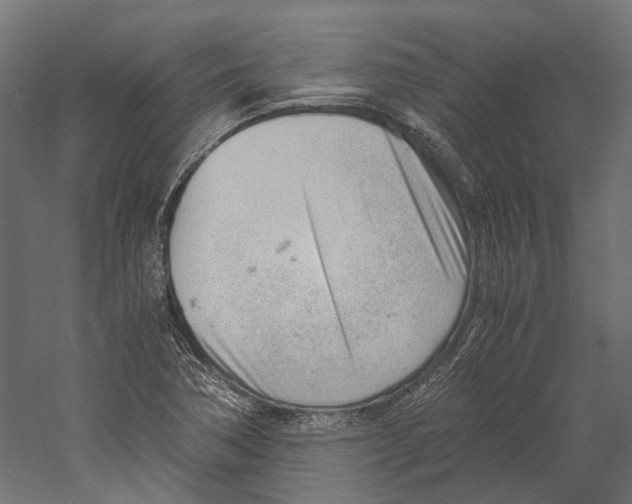 X0000060231362200511241255