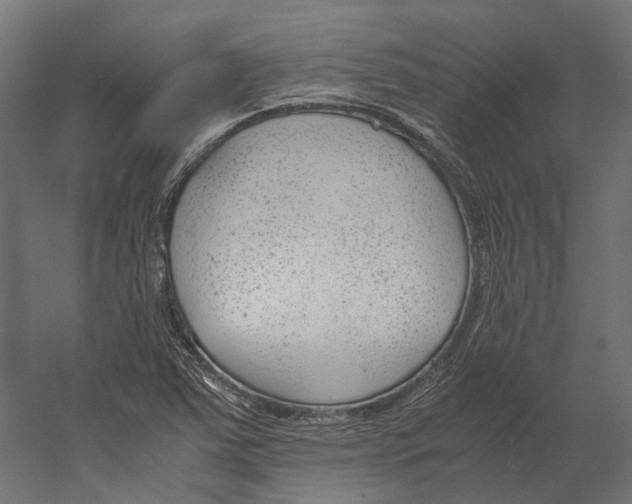 X0000060231363200511241255