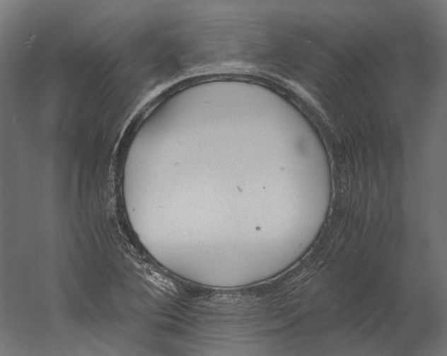 X0000060231364200511241255