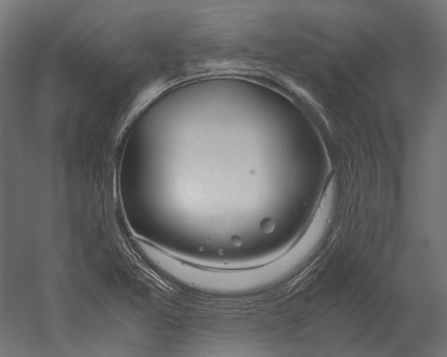 X0000060231365200511241255