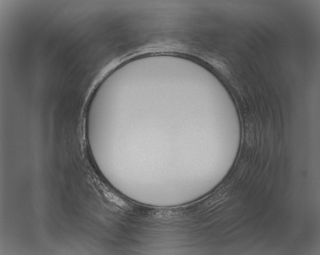 X0000060231366200511241255