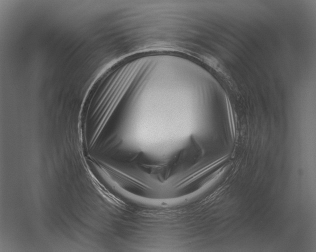 X0000060231372200511241255