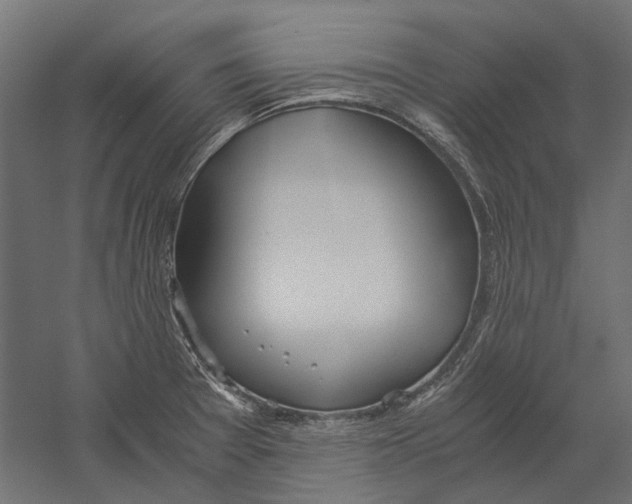 X0000060231377200511241255