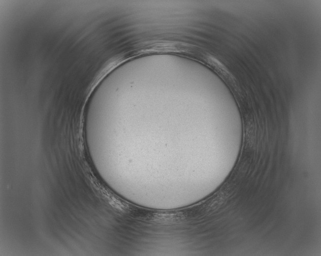 X0000060231378200511241255