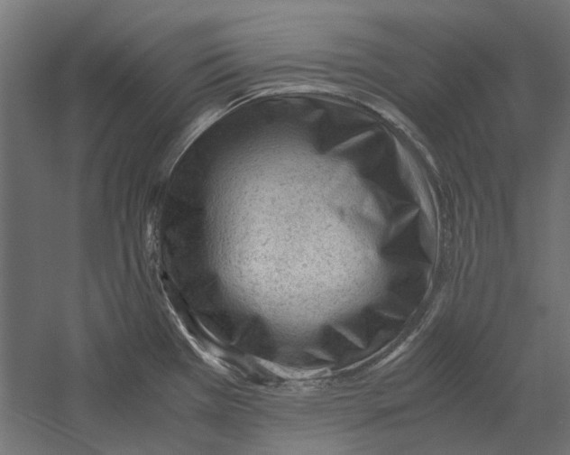 X0000060231385200511241255