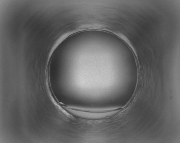 X0000060231389200511241255