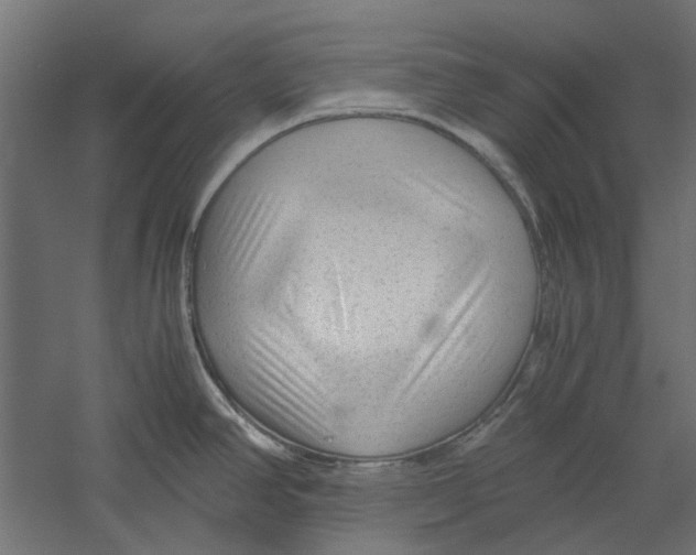 X0000060231390200511241255