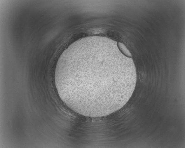 X0000060231393200511241254