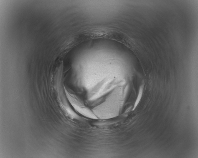 X0000060231394200511241254