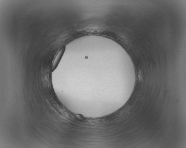 X0000060231396200511241254
