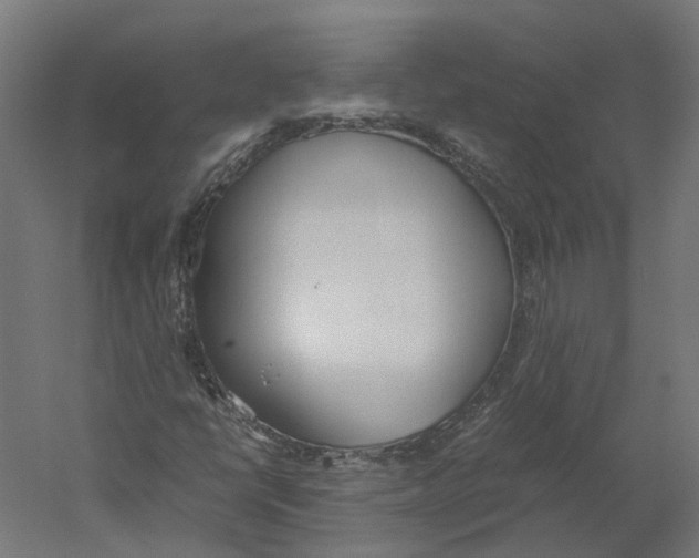 X0000060231398200511241254