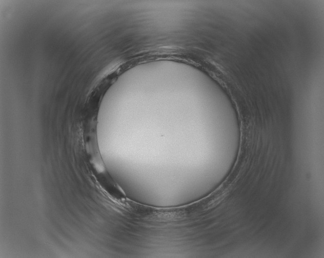X0000060231402200511241254