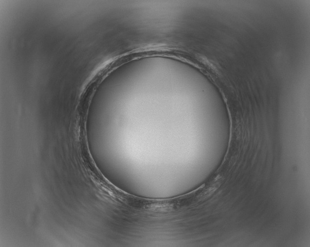 X0000060231406200511241254