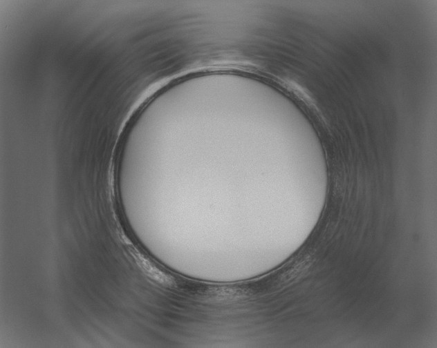 X0000060231420200511241254