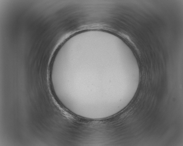 X0000060231424200511241254