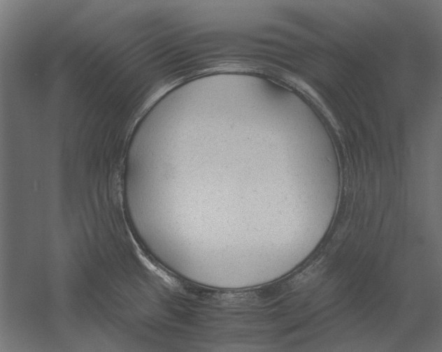 X0000060231433200511241254