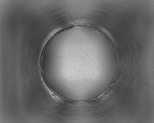 X0000060231434200511241254