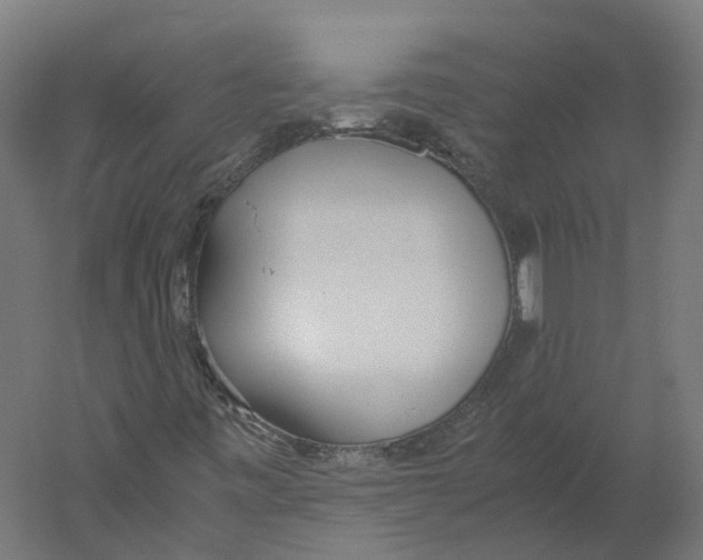 X0000060231443200511241254