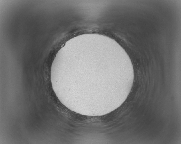 X0000060231447200511241254