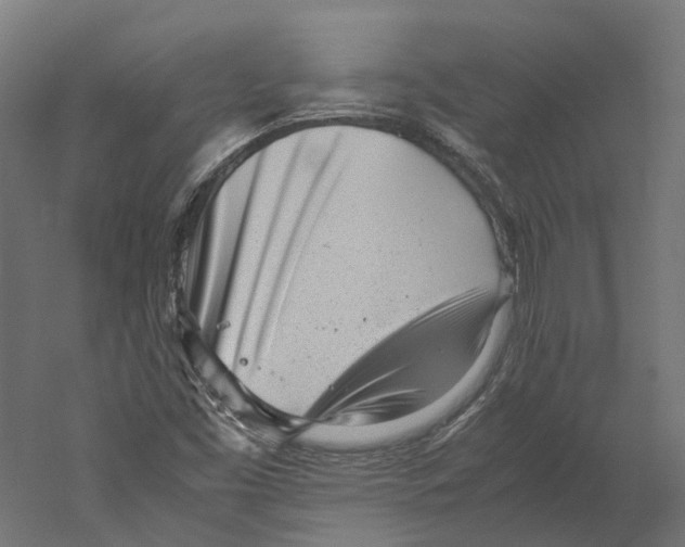X0000060231453200511241254