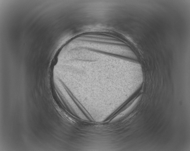 X0000060231463200511241253