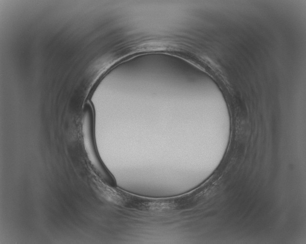 X0000060231465200511241253