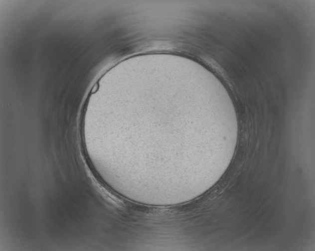 X0000060231475200511241253