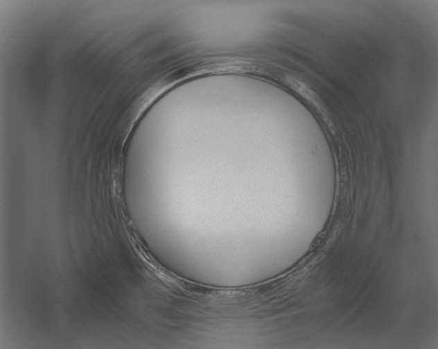 X0000060231481200511241253