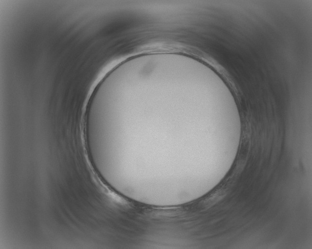 X0000060231486200511241253