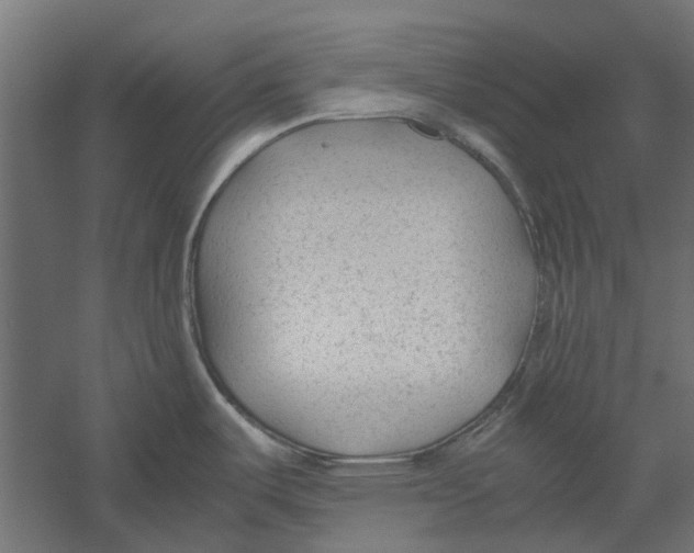 X0000060231487200511241253