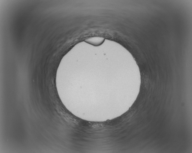 X0000060231489200511241252