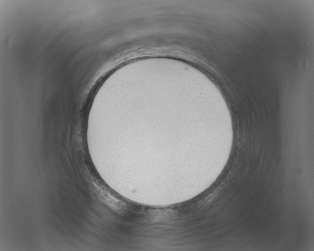 X0000060231498200511241252