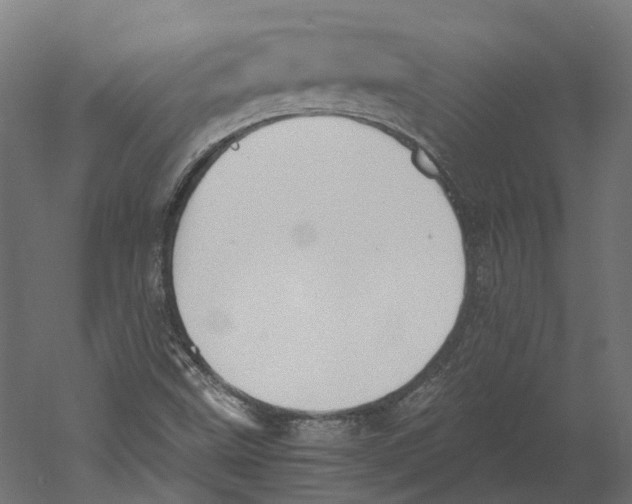 X0000060231499200511241252