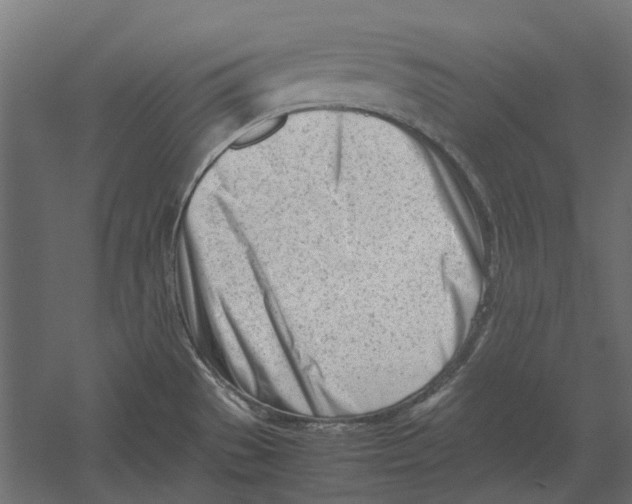 X0000060231529200511241253