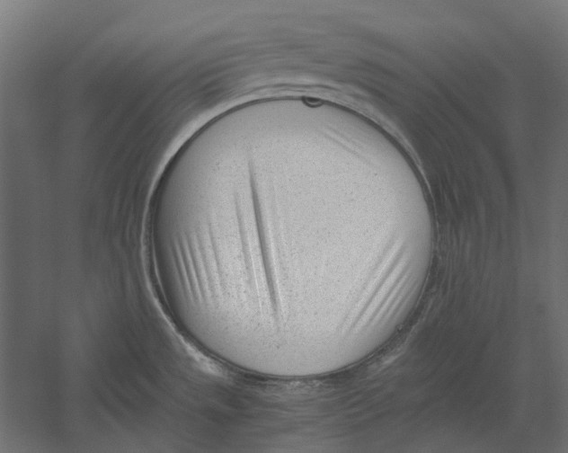X0000060231533200511241253