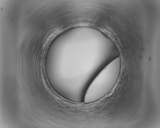 X0000060240001200510280925