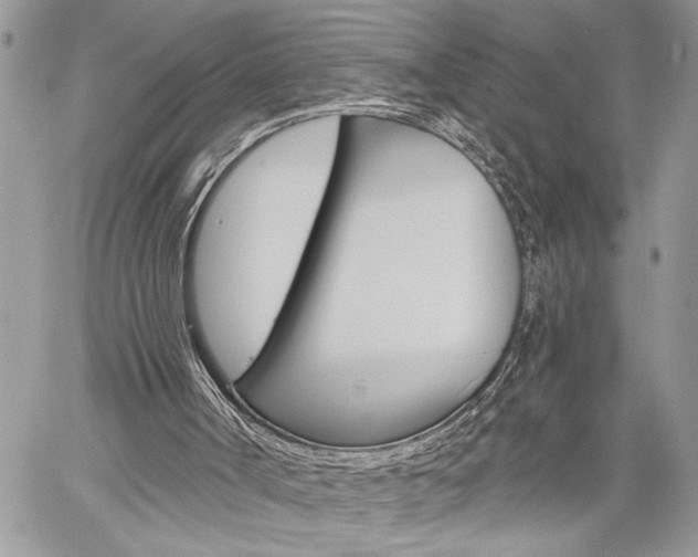 X0000060240002200510280925