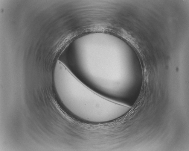X0000060240013200510280925