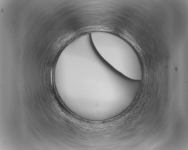 X0000060240014200510280925