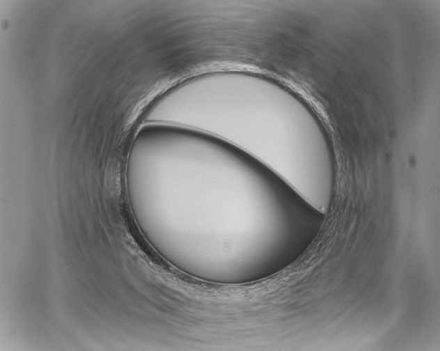 X0000060240015200510280925