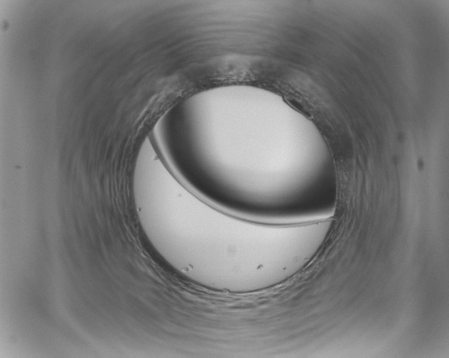 X0000060240035200510280924
