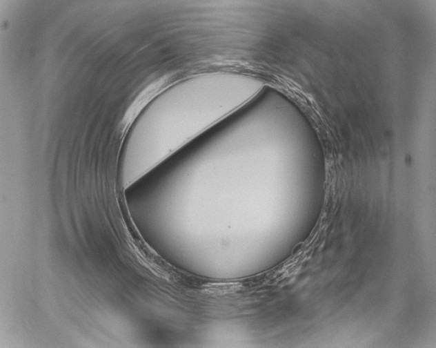 X0000060240051200510280923