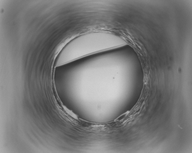 X0000060240052200510280923